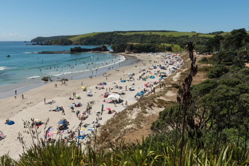 A busy summer day at Anchor Bay in Tawharanui Regional Park