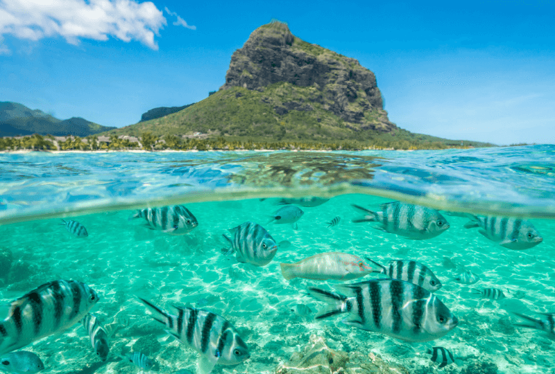 Amazing snorkelling in Mauritius