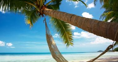 Relax and unwind in paradise