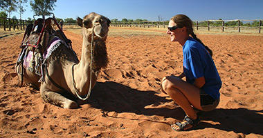 Meet the Locals