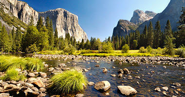 Yosemite National Park
