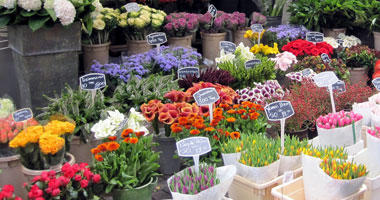 Flower Market