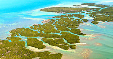 The Florida Keys