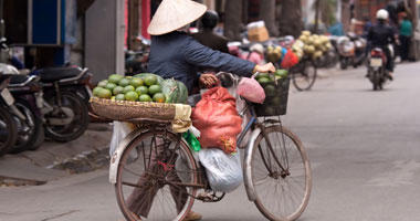 Local Vendor