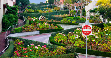 Zig-Zag Lombard Street