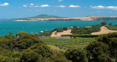Nearby Waiheke Island
