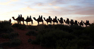 Camel Tour
