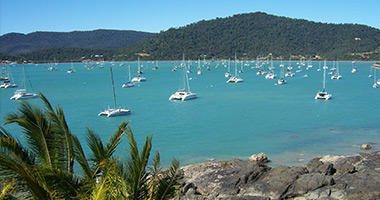 Nearby Palm Cove