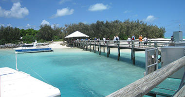 Welcome to Heron Island