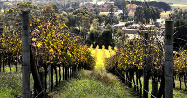 Yarra Valley