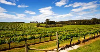 Margaret River wine region