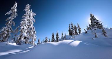 Your Own Winter Wonderland