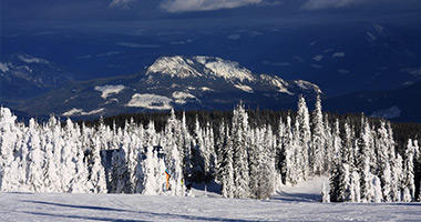 Fresh Powder Awaits