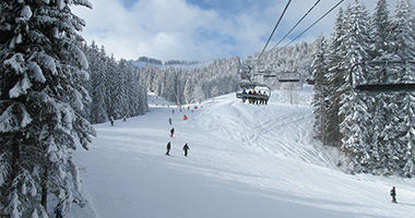 Winter Wonderland