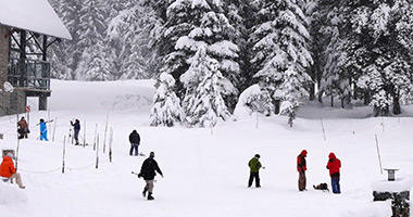 Winter Wonderland