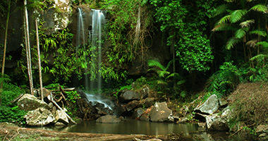 Rainforest Waterfall