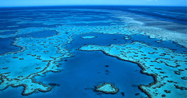 Oh So Many Shades of Blue