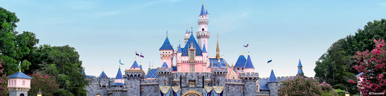 Disneyland Resort California