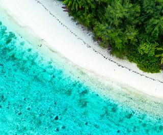Rarotonga
