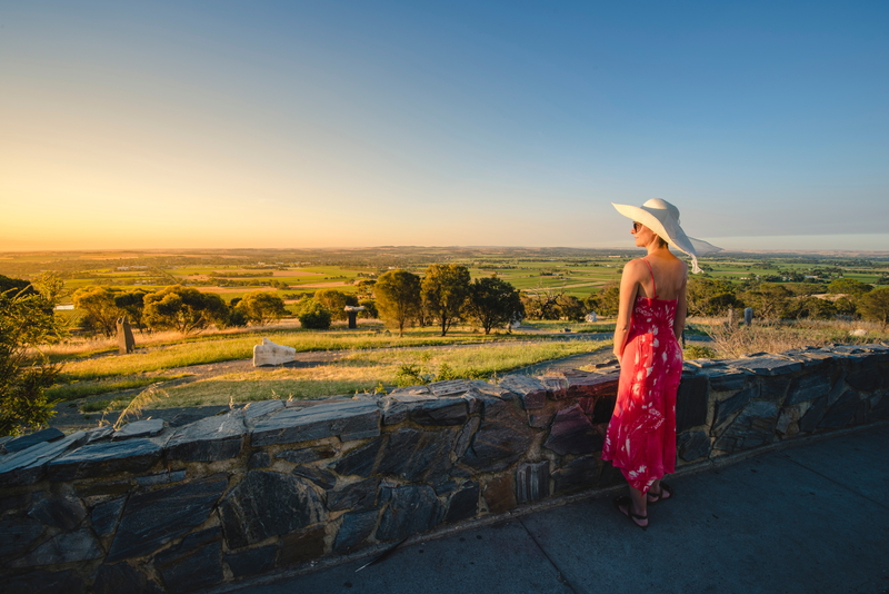 Admiring the stunning views over the Barossa Valley